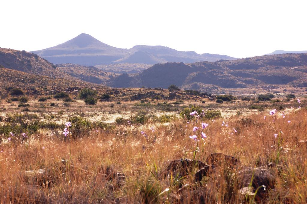 Nelspoort The Vale Karoo Farm 빌라 외부 사진